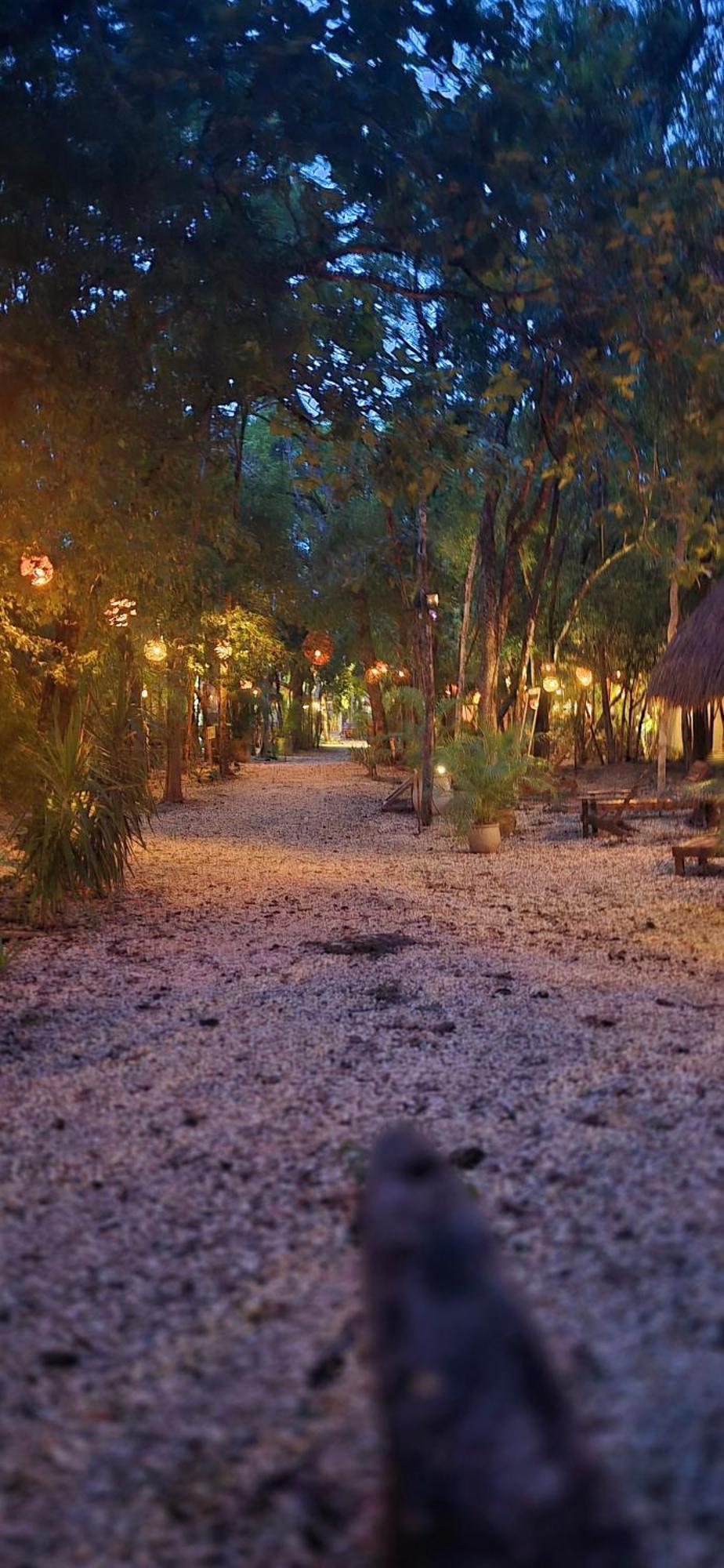 Hotel Kin Tulum Jungle Deluxe Kültér fotó